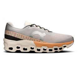 Buty do biegania ON Running Coudmonster 3  r. 45